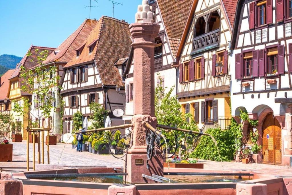 Apartment L'altenberg Bergheim